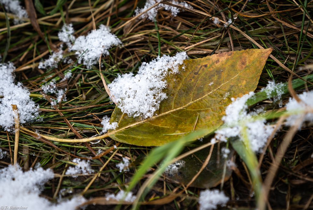 Есдүгээр сарын цаг агаарын ерөнхий төлөв