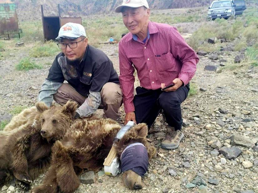 Мазаалайд сансрын дохиолол бүхий хүзүүвч зүүлээ