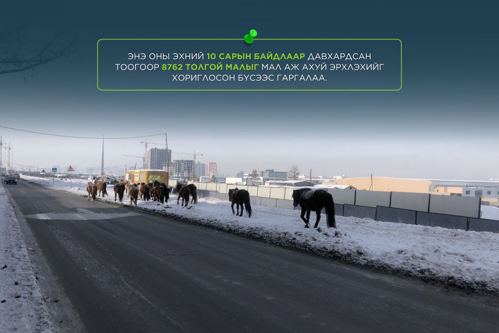 Мал аж ахуй эрхлэхийг хориглосон бүсээс малаа гаргаагүй иргэн, ААН-ыг Зөрчлийн тухай хуулиар торгох зохицуулалттай