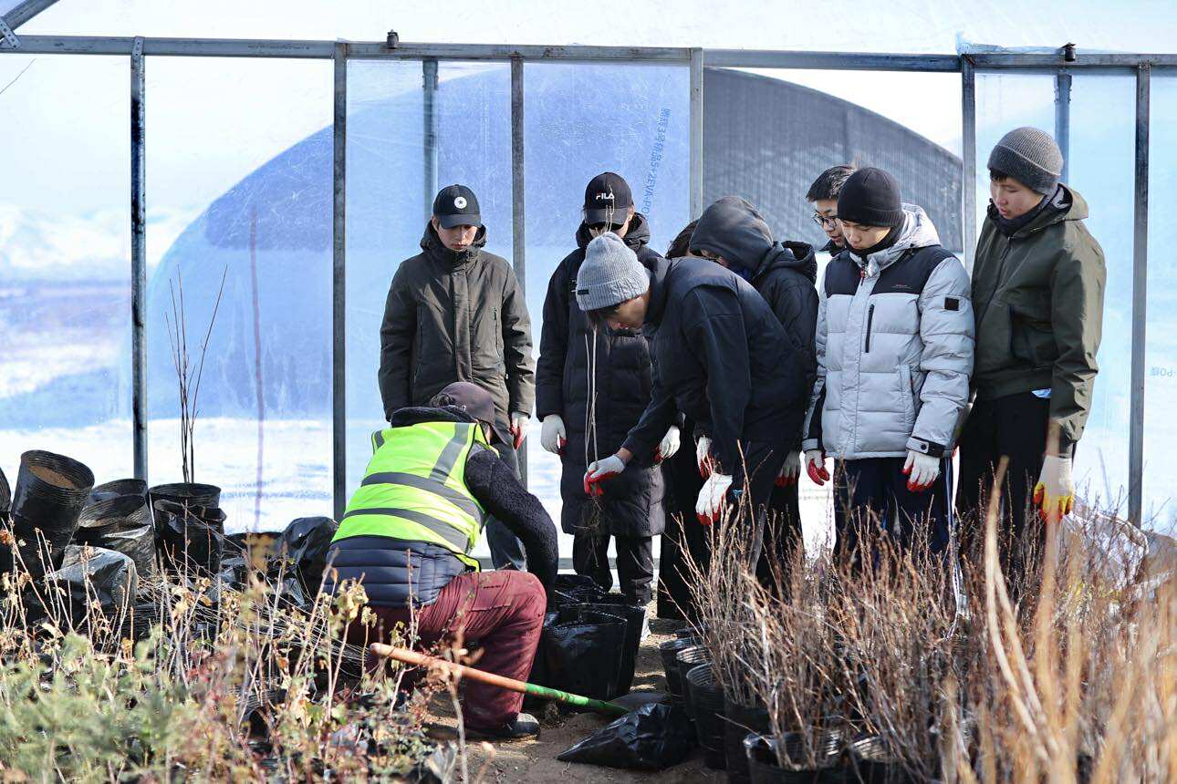 “Тэрбум мод” үндэсний хөдөлгөөний хүрээнд 110 гаруй сая мод тарьж, ургуулж байна